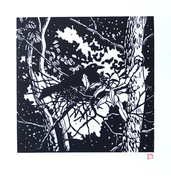Currawong Nest - Linocut - Ed 10 - Image size 30cmx30cm
